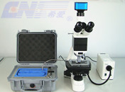 Confocal Laser Scanning Microscopy