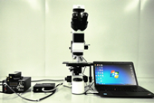 Confocal fluorescence microscop