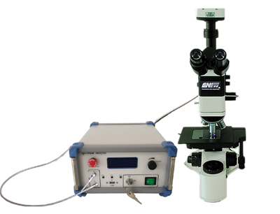 Micro Raman Spectrum Measurement System